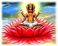 Brahma4.jpg