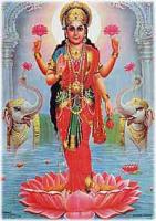 Lakshmi2.jpg